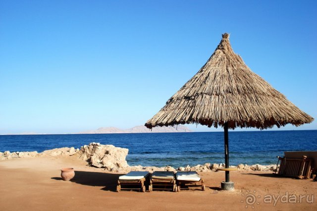 фото Sheraton Sharm Hotel, Resort, Villas & Spa