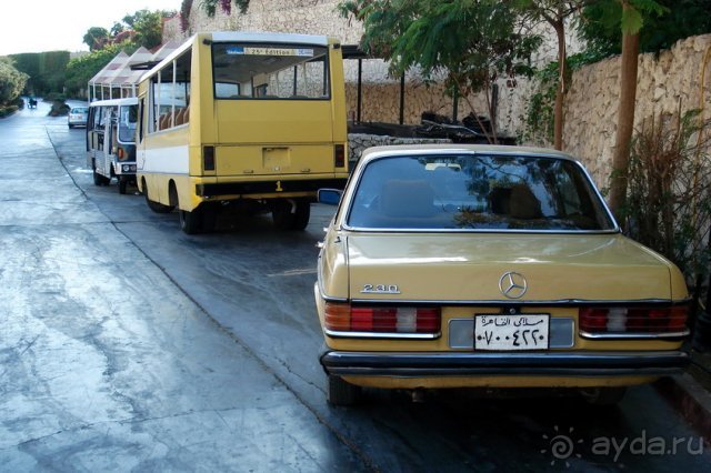 фото Sheraton Sharm Hotel, Resort, Villas & Spa