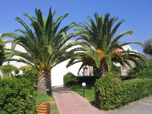 Территория отеля