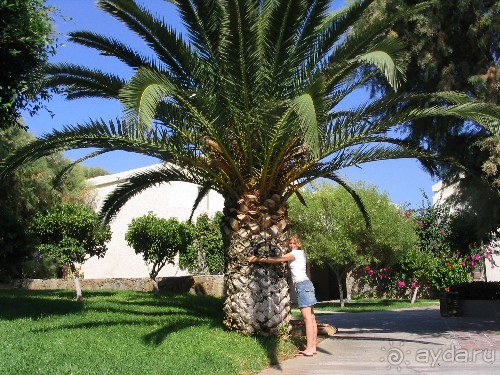 Территория отеля