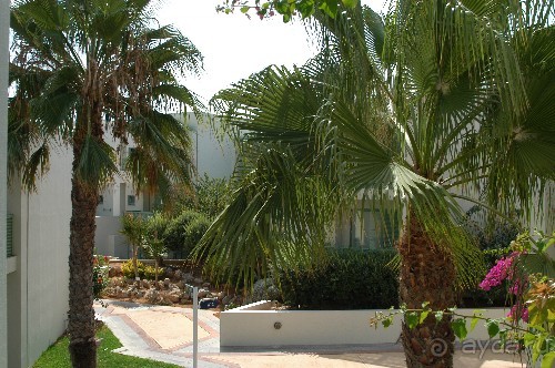 Территория отеля