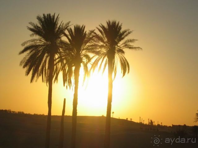 В поисках КУС-КУСА верхом на ТУК-ТУКЕ в гостях у БЕРБЕРОВ в МАТ-МАТЕ – или ПРЕСС-РЕЛИЗ о Тунисе для любознательных