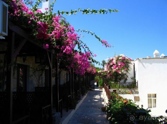 фото Residence Hotel