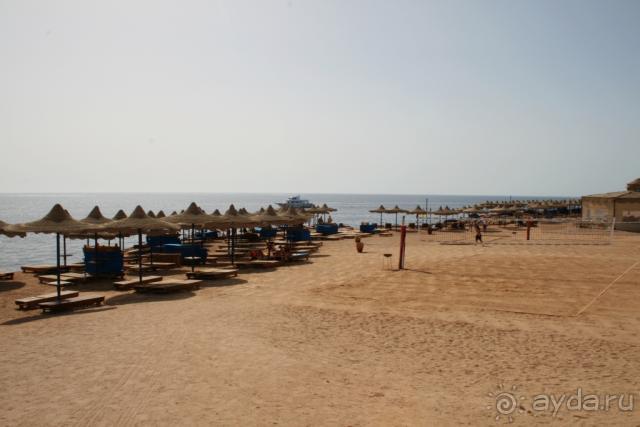 фото Les Orangers Beach Resort & Bungalows