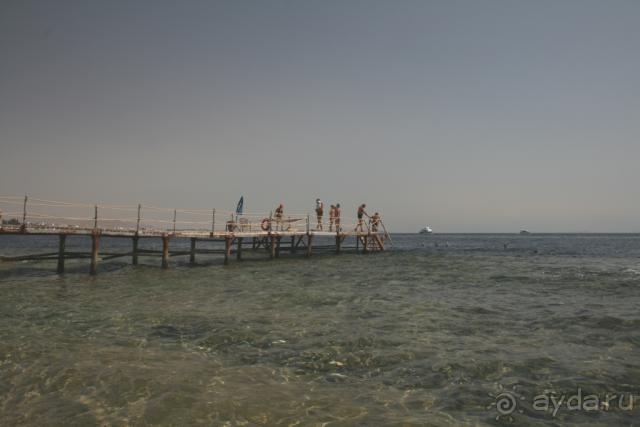 фото Les Orangers Beach Resort & Bungalows