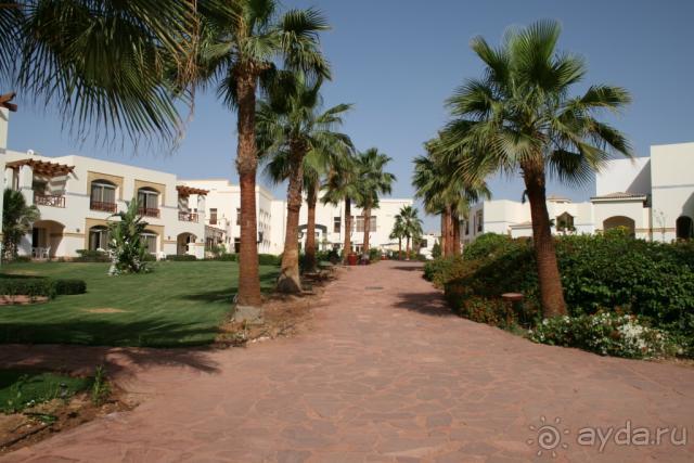 фото Les Orangers Beach Resort & Bungalows