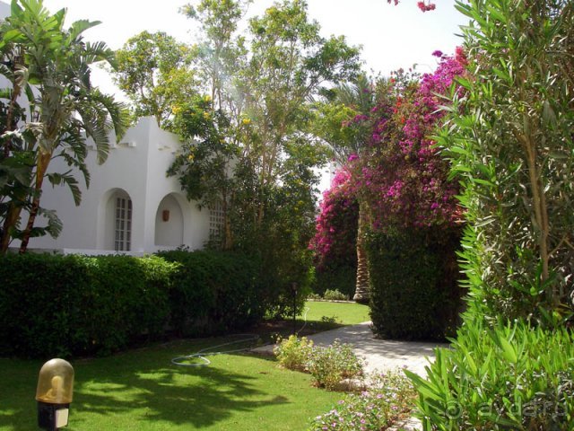 Софитель, Хургада