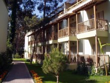 фото Gypsophila Club Marine