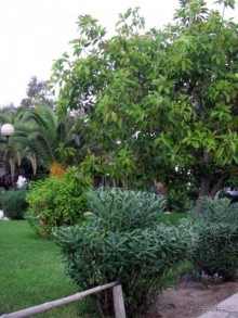 фото La Hacienda Gran Hotel