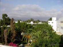 Les Orangers beach 4*