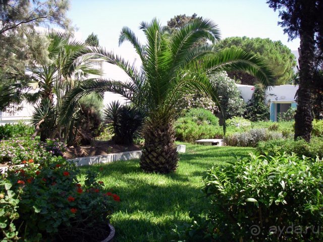 Les Orangers beach 4*