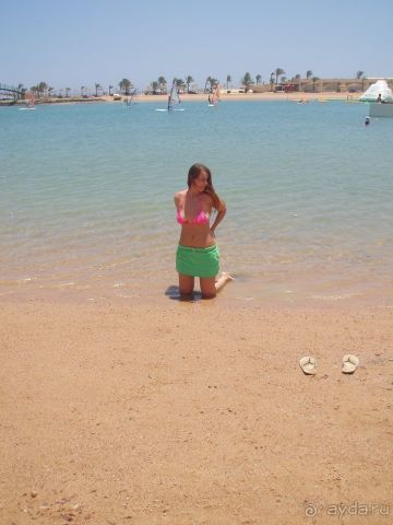 фото Феникс