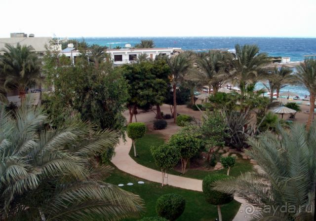 Geisum village - отель для продвинутых туристов.