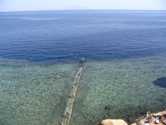 В этом отеле мы получили ВСЕ что хотели от Египта зимой и даже чуть больше...