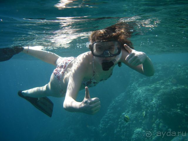 Отдых в Оазисе - сюда хочется вернуться!