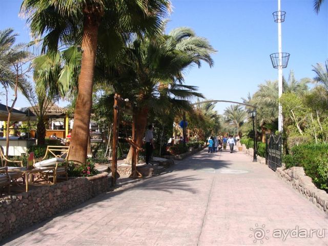 Приятнее спать на лежаке у бассейна, чем в номере.