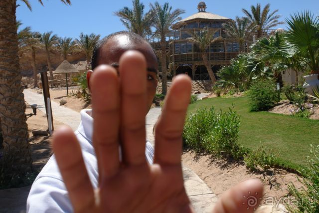 Я был в 11 странах и в 15 разных отелей, не встречал ужасней чем этот.