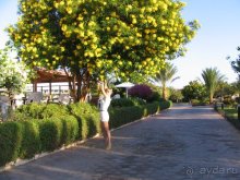 фото Pharaoh Azur Resort 