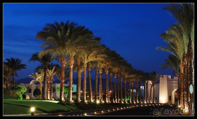 фото Калина Гарден