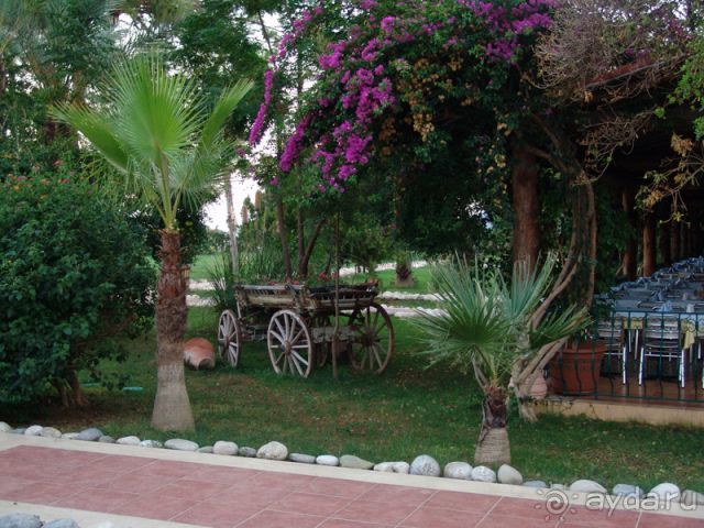 Лучшее соотношение цена-качество для 4* в этом регионе Турции