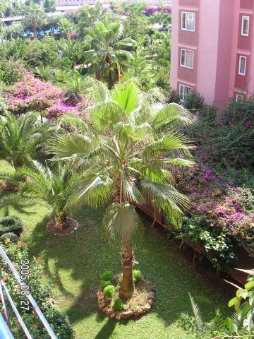 фото Sabena Marmara