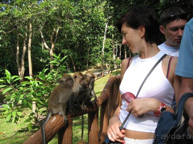 фото Luostotunturi