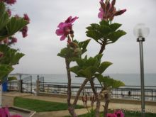 Ездили с подругой - очень бюджетно, развлечения искали самостоятельно.