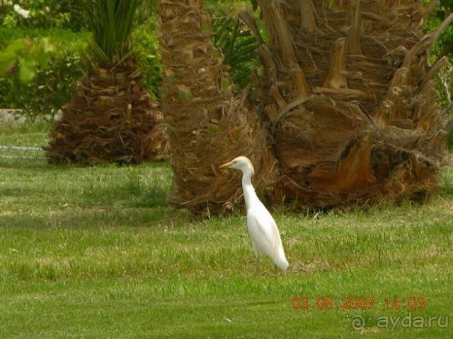 фото Hilton Giardini Naxos