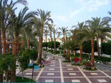 фото Sultan Gardens Resort