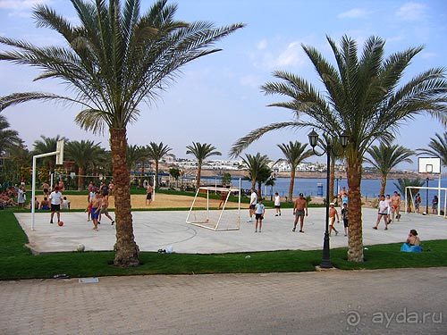 Пляжный волейбол Пляжный волейбол