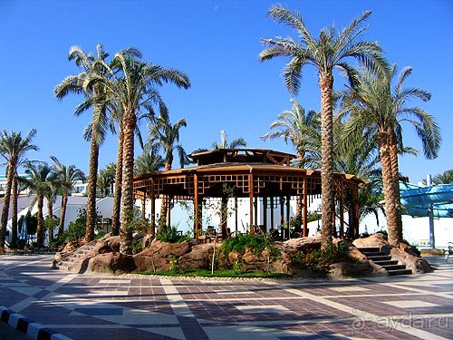 Беседка Беседка