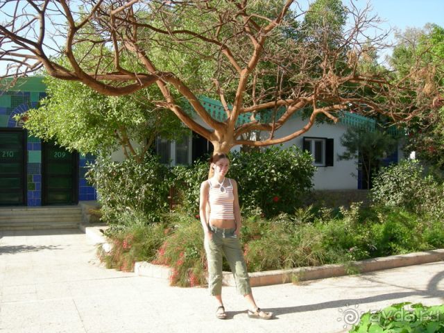 фото Ghazala Beach