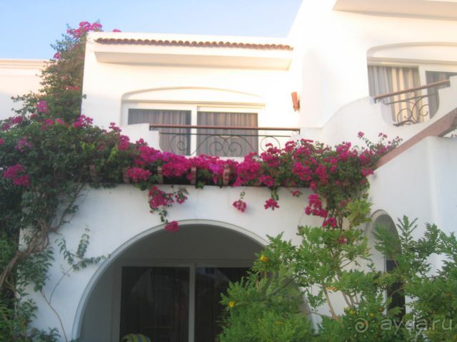 Было бы отлично, если бы не персонал (исключительно работники бара)