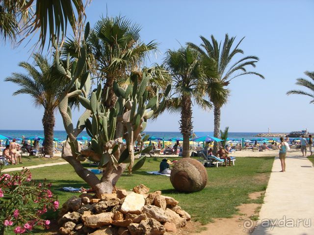 фото Atlantica Sancta Napa