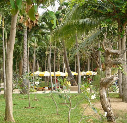 фото Xeno Hotels Sonas Alpina