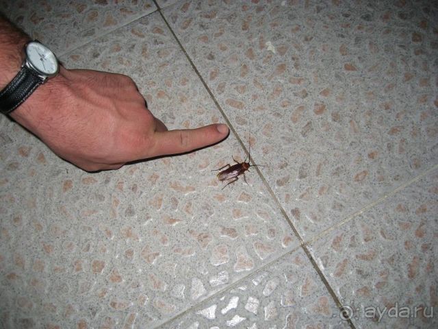 я не верю, что на самом деле хоть кто-нибудь сюда вернётся..