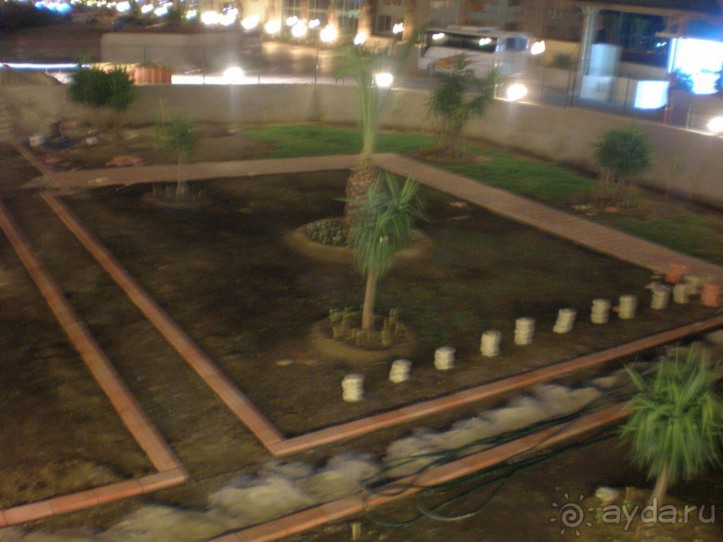 фото Гиннес