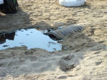 Если у вас есть враги,то отправьте отдыхать сюда.