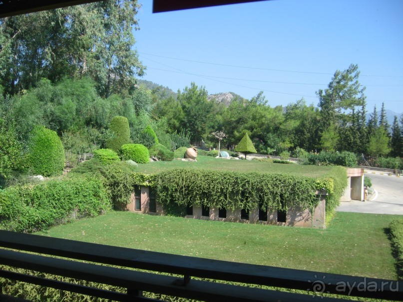 фото Pickalbatros Oasis Port Galib