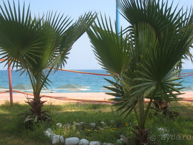 =) отельчик Асия..НОРМАЛЬНЫЙ,повторяю-нор-маль-ный