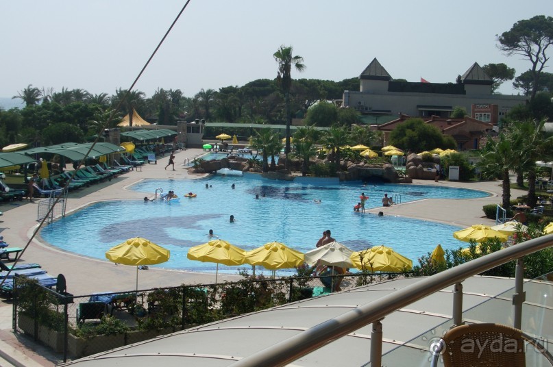 бармены прикольные,наливают всем)))