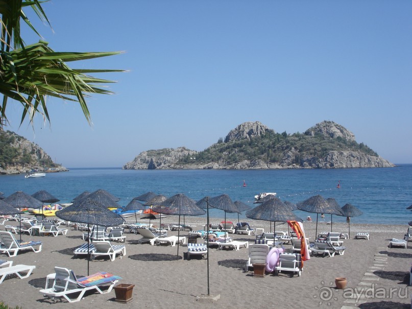 Мой сказочный Green Platan