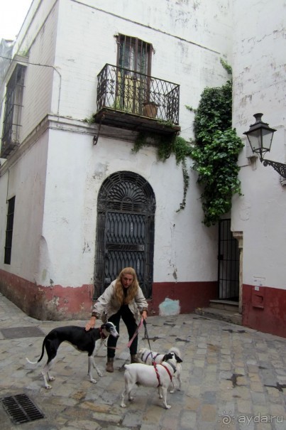 Севилья - улочки квартала  Санта Круз