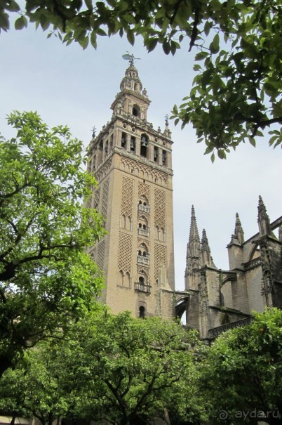 Апельсиновый дворик Кафедрального собора