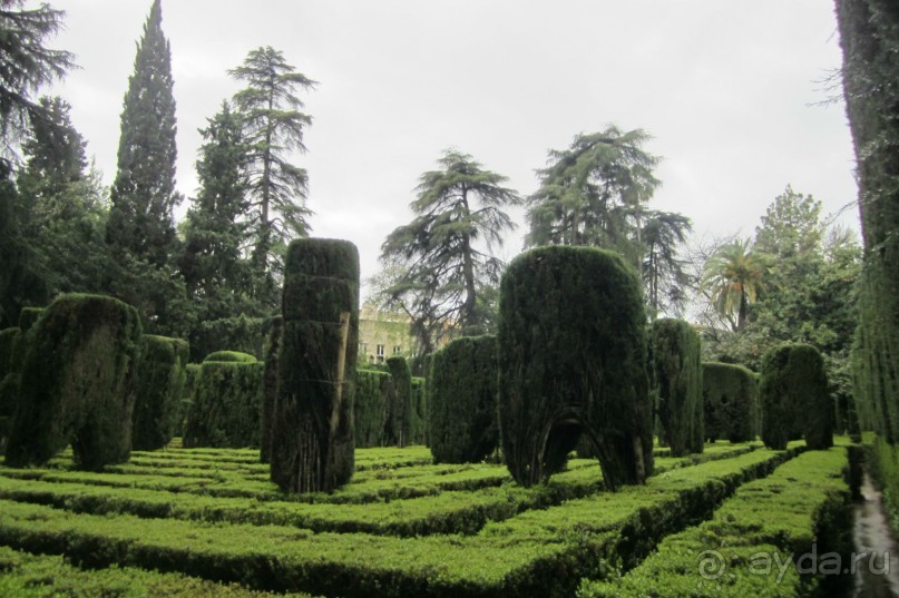  Алькасар -сады