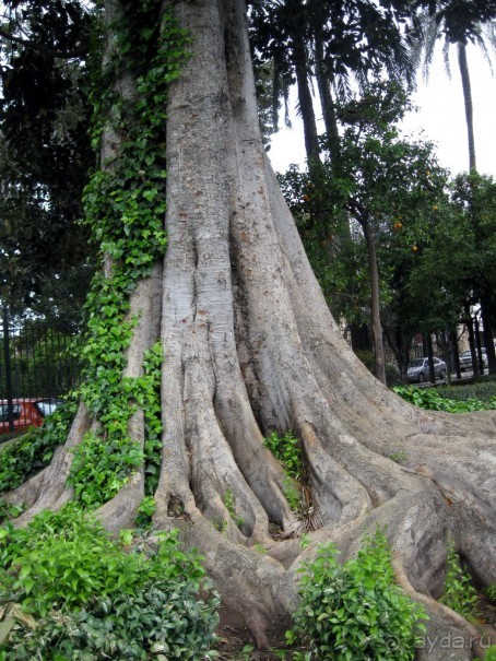 Парк Мурильо