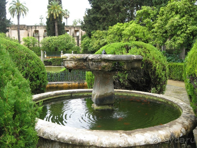  Алькасар -сады