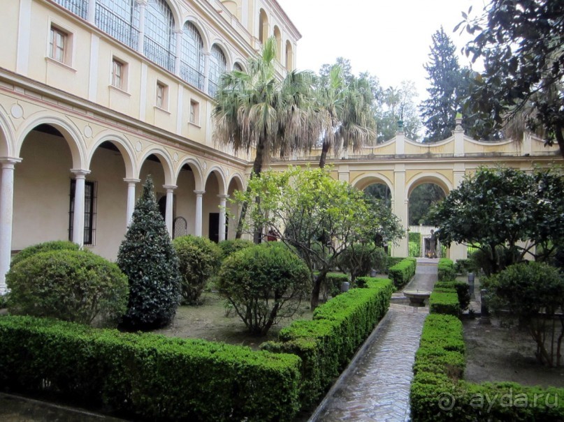 Севилья - Алькасар