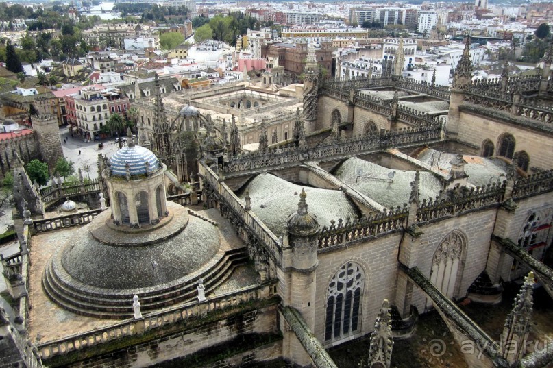 Вид на крышу Кафедрального собора с башни Хиральда