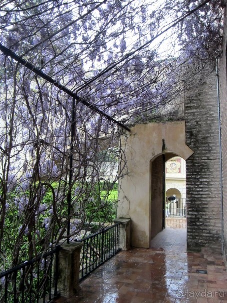 Севилья - Алькасар